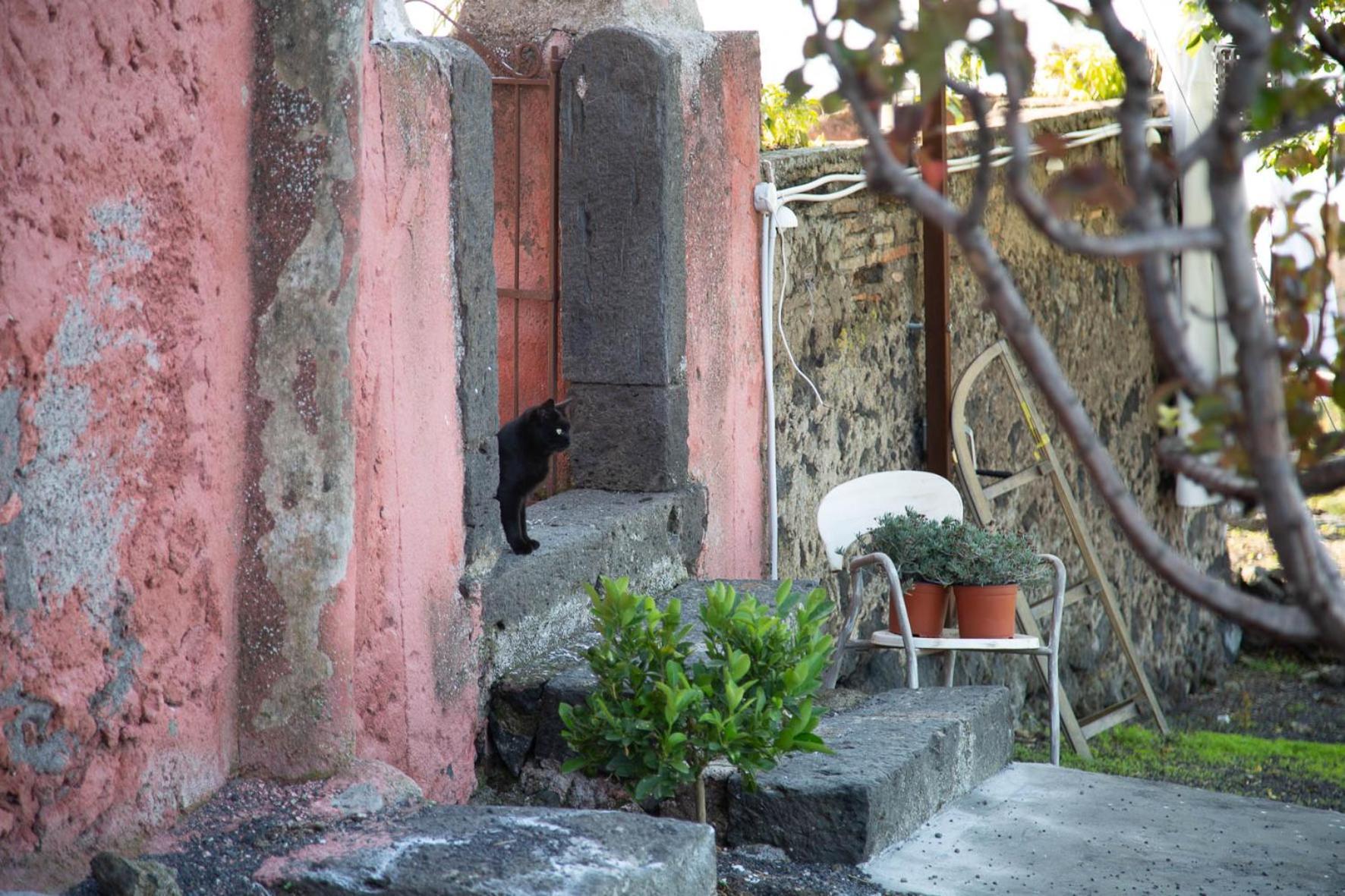 Podere Dell'Etna Segreta - Essential Nature Hotel & Glamping Biancavilla Eksteriør billede
